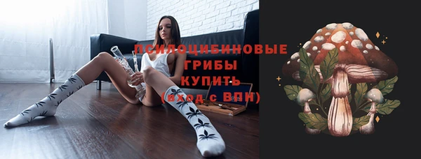 a pvp Пересвет