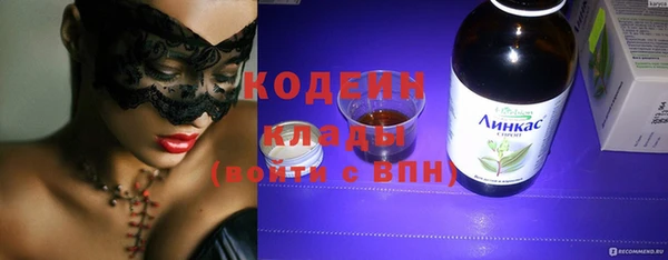 гашик Пестово
