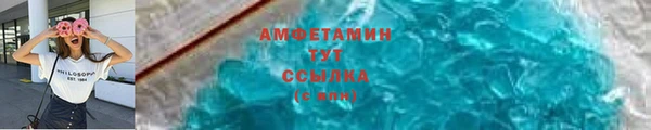 гашик Пестово