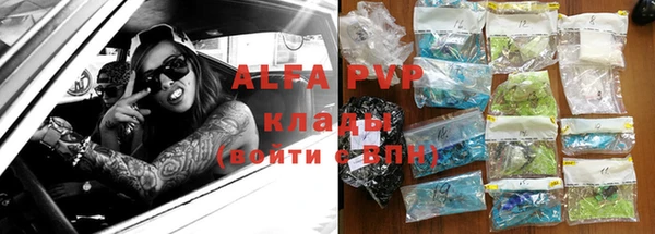 a pvp Пересвет
