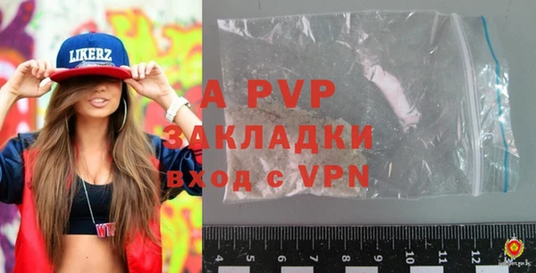 a pvp Пересвет