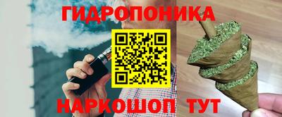скорость Гагарин