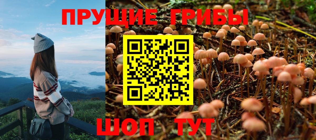 Галлюциногенные грибы MAGIC MUSHROOMS  Вход с VPN  Заводоуковск  Галлюциногенные грибы Magic Shrooms 