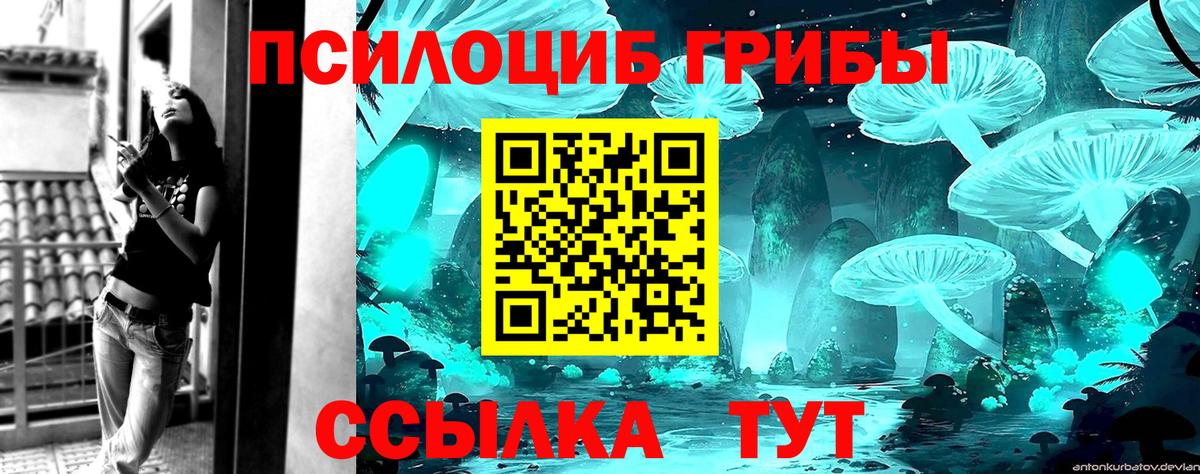 Псилоцибиновые грибы Cubensis Заводоуковск